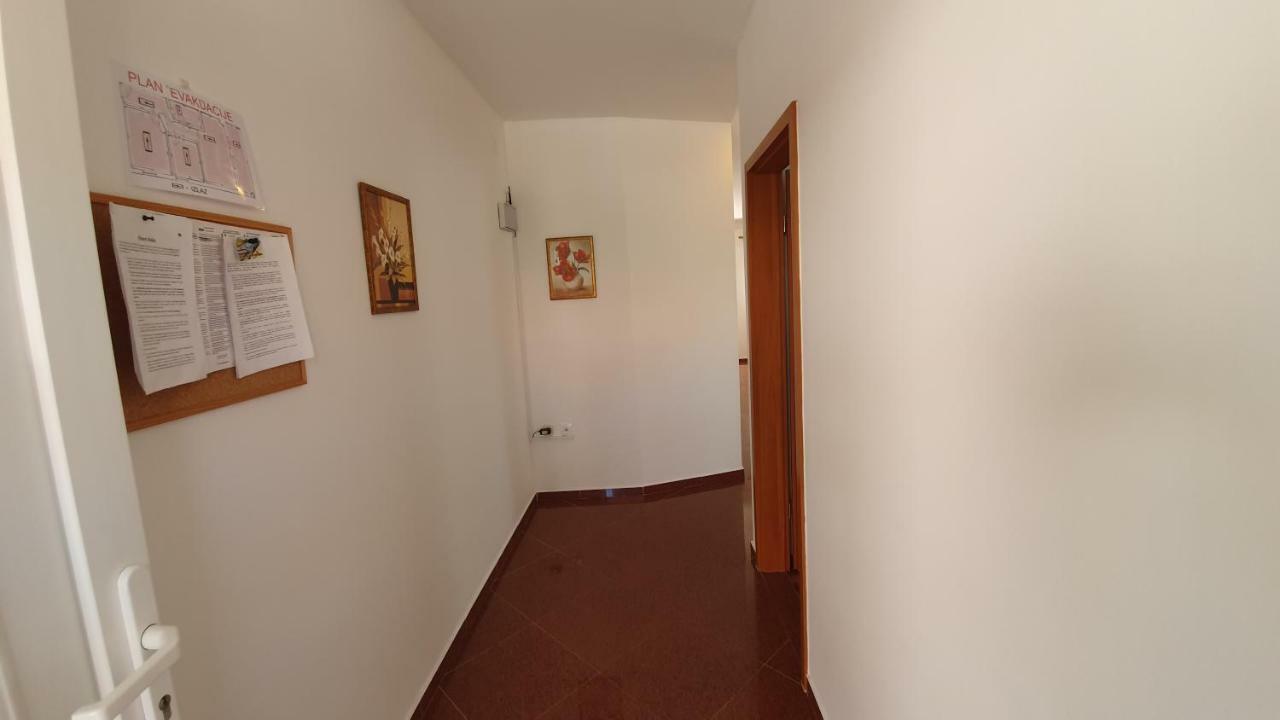 Apartments Mislav 诺瓦利娅 外观 照片